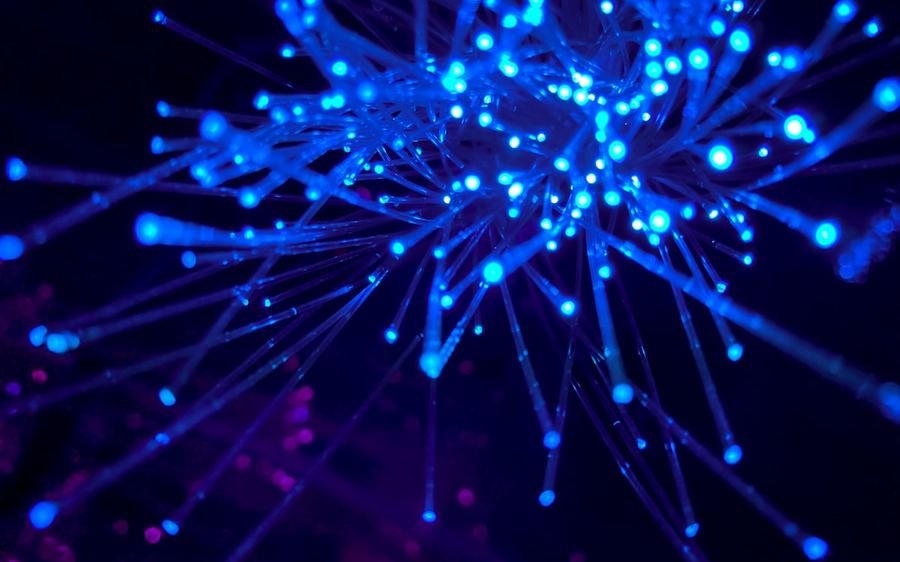 Optical fibre ends glowing blue and violet against black